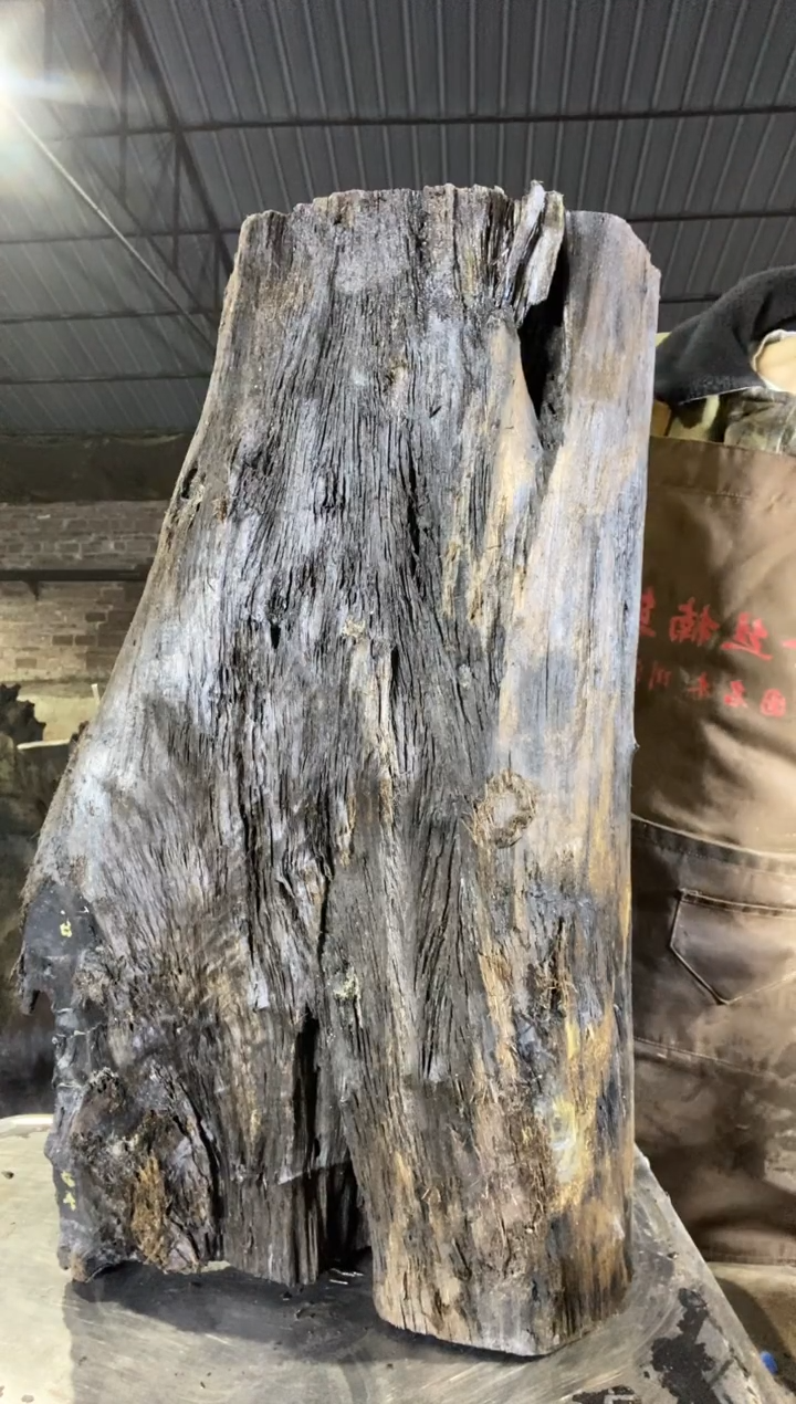 其他楠木（金丝楠）金丝楠小叶桢楠46