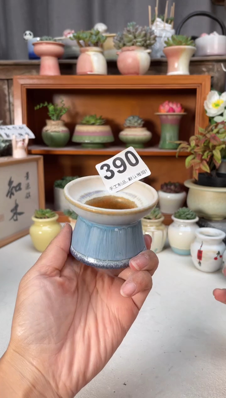 瓷片390小芳直播编号
