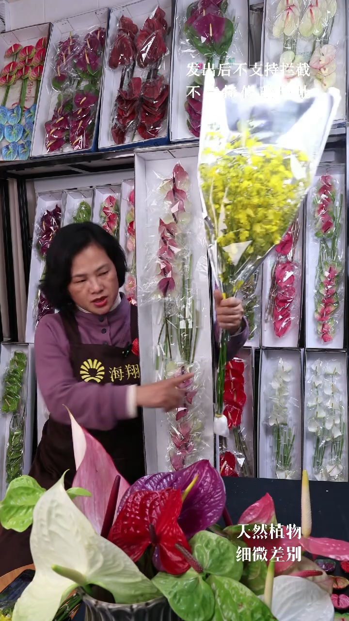 M****R马克16支小掌+B级跳舞兰1束，福利不退不换不售后