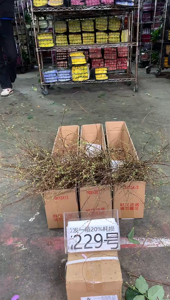 229/3号♥中通含20%耗损发一箱鲜花