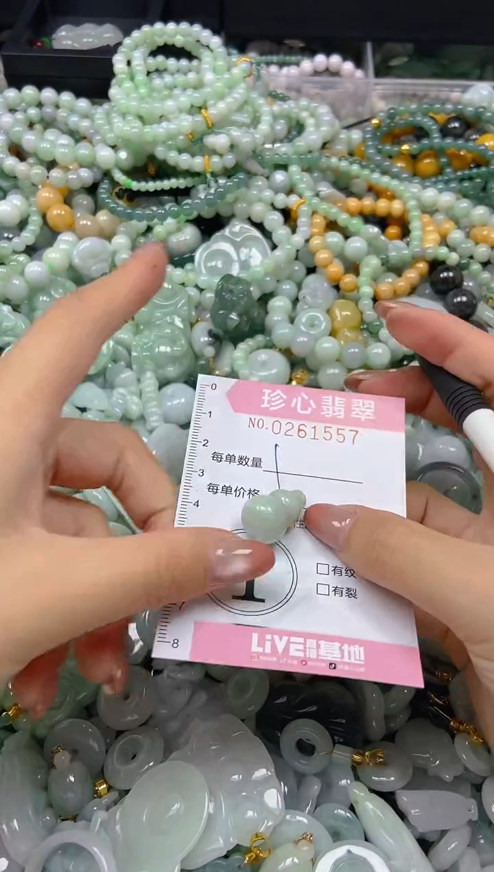 翡翠未镶嵌颈饰闪购0261557