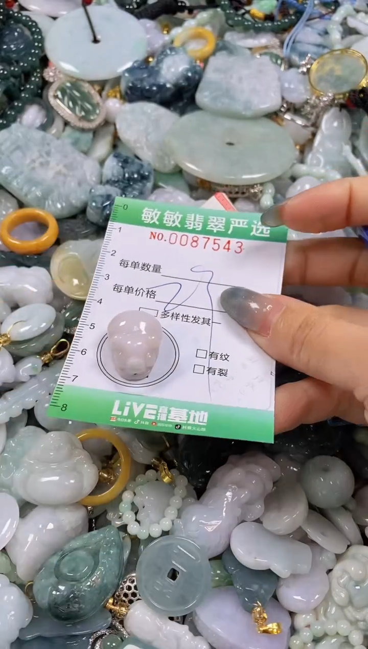 【闪购商品】翡翠颈饰未镶嵌闪购0087543