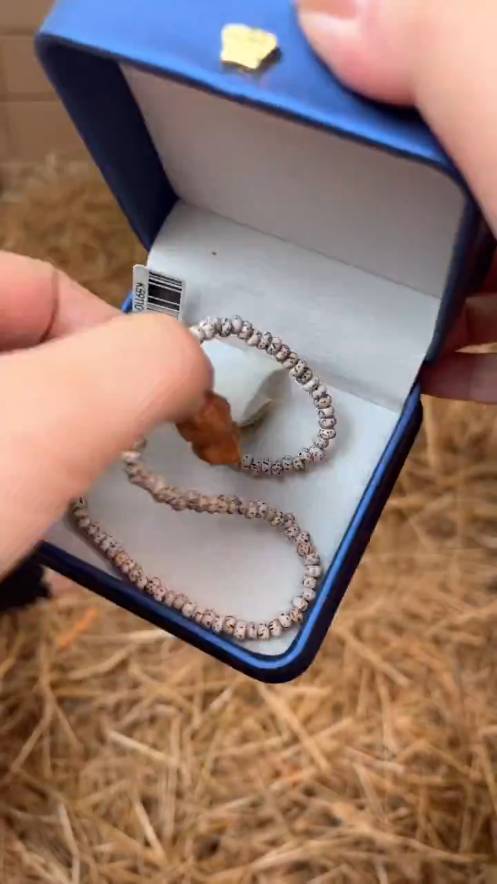 立秋甄选福利闪购商品无礼盒