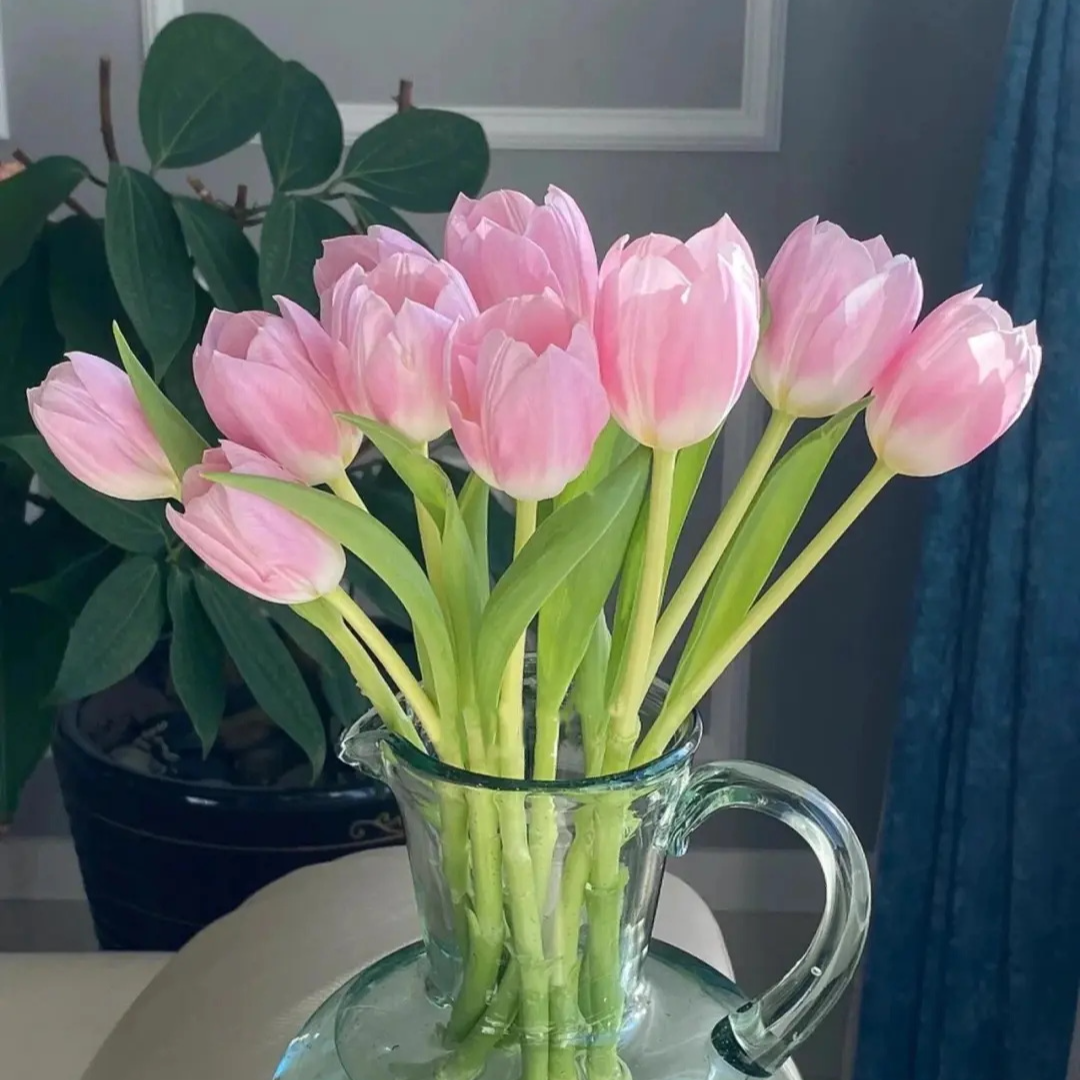 【郁金香】（多色可选）郁金香9支家居鲜花家庭插花可自提/配送