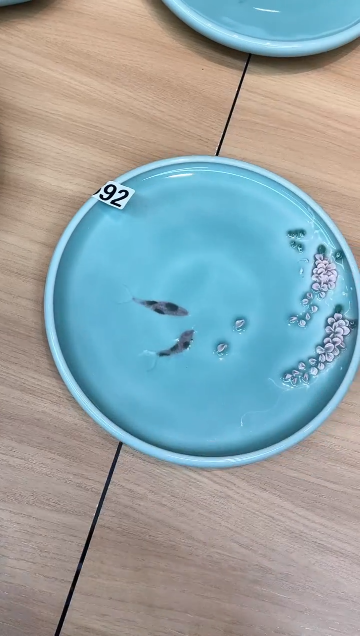 全手特价福利 微瑕 慧仙青瓷