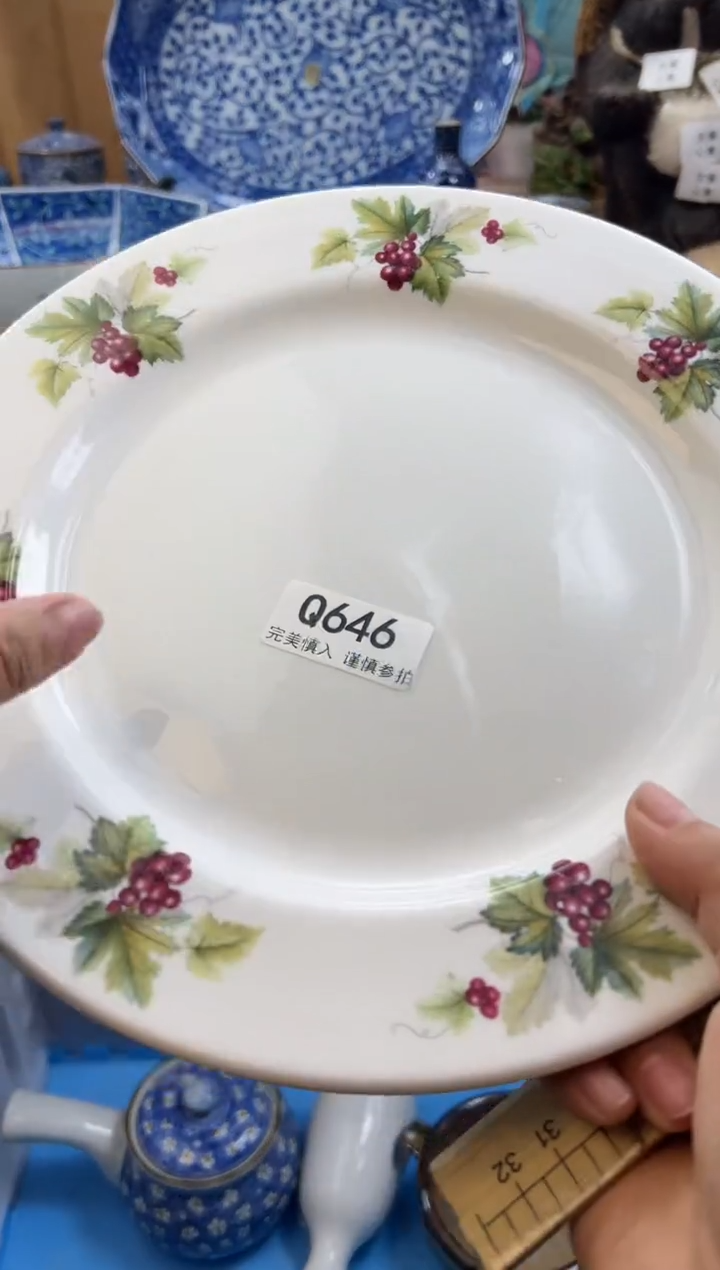 【闪购商品】瓷片646qqqqqqqqqqqq