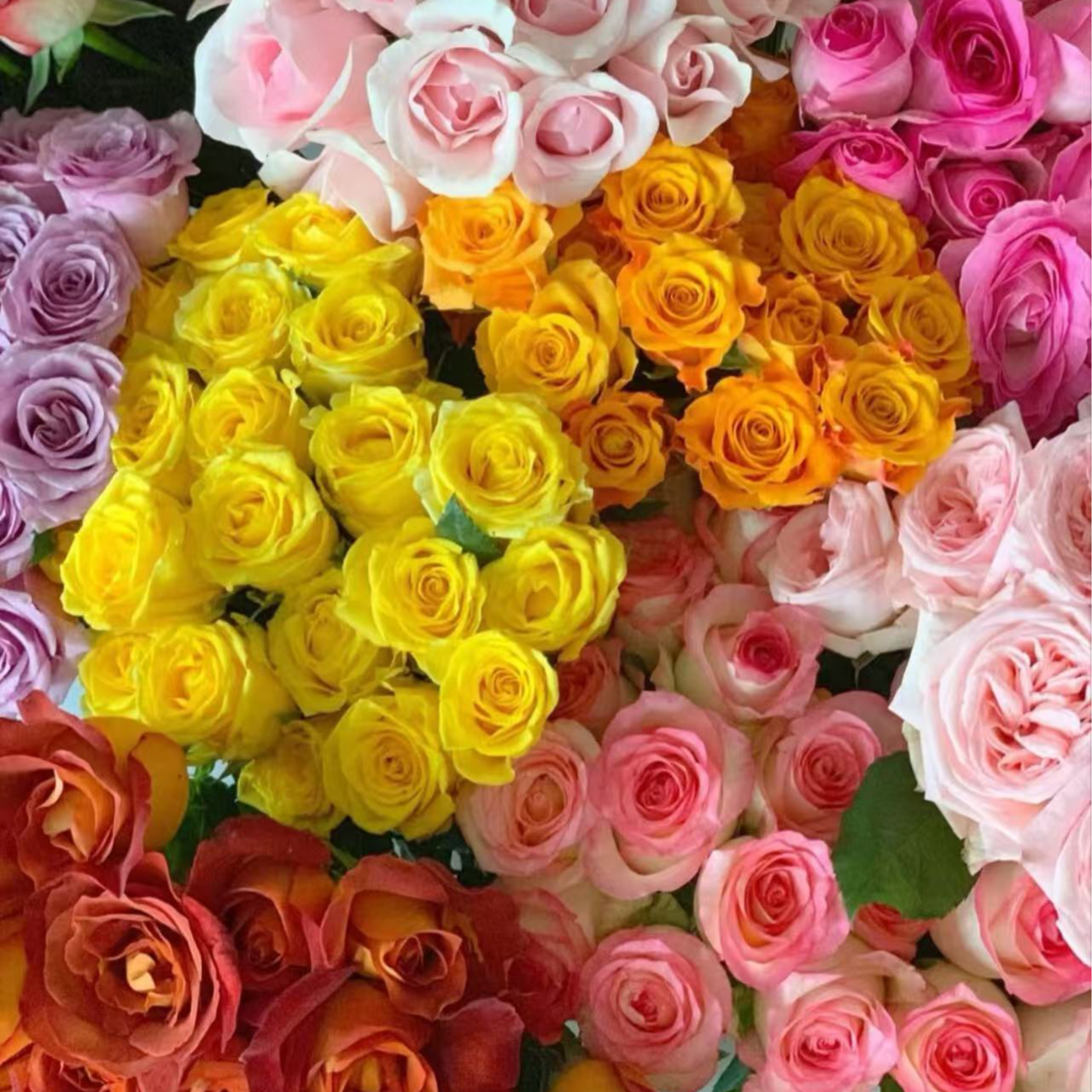 【春日来信】【花束组合】不参与凑单 损坏10%不售后