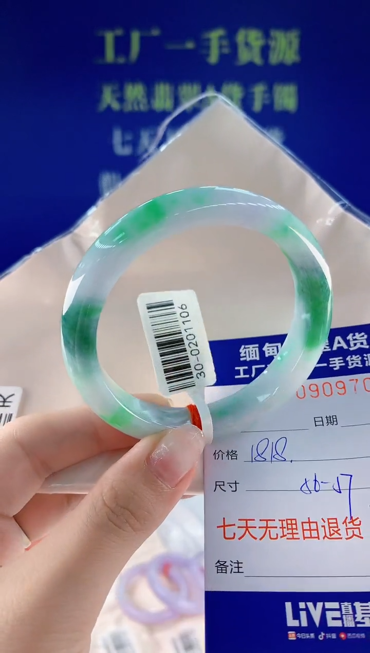 未镶嵌手镯翡翠09