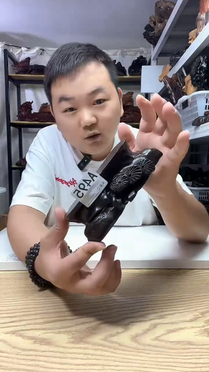 木495------------
