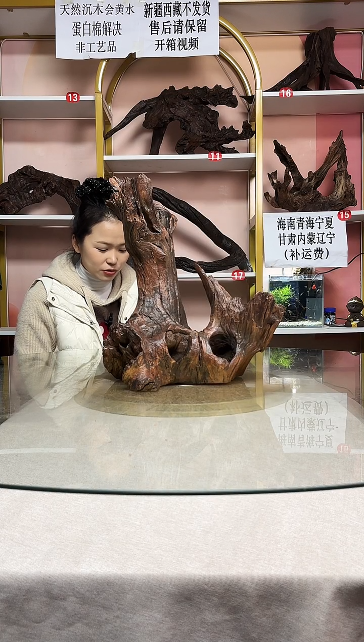归*鱼缸造景沉木A935