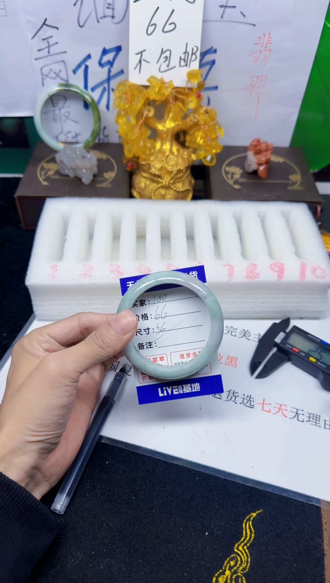 未镶嵌手镯翡翠100