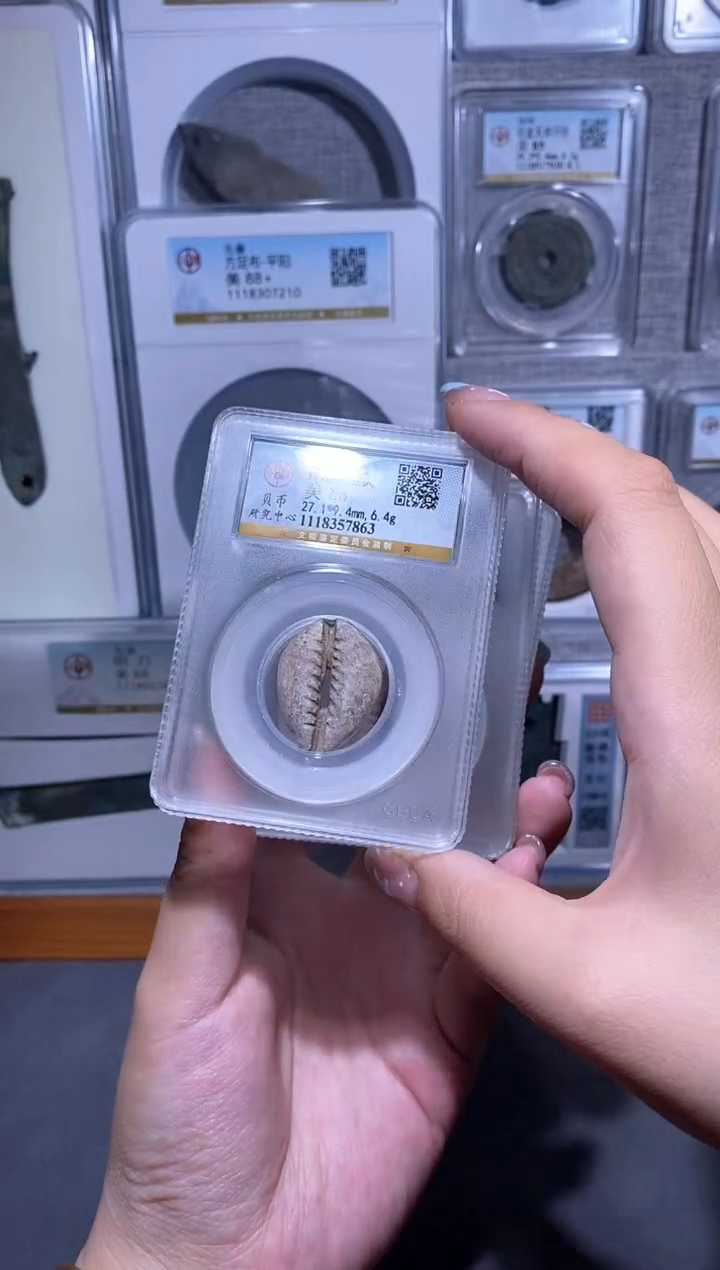 【闪购商品】铜品泉收藏    软玉贝