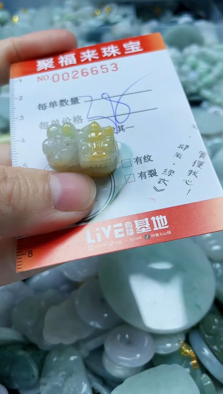 【闪购商品】翡翠颈饰未镶嵌闪购0026653