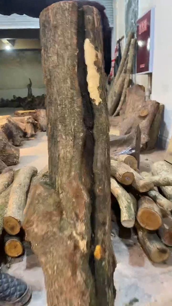 人****邓阿祥金丝楠木闪购链接