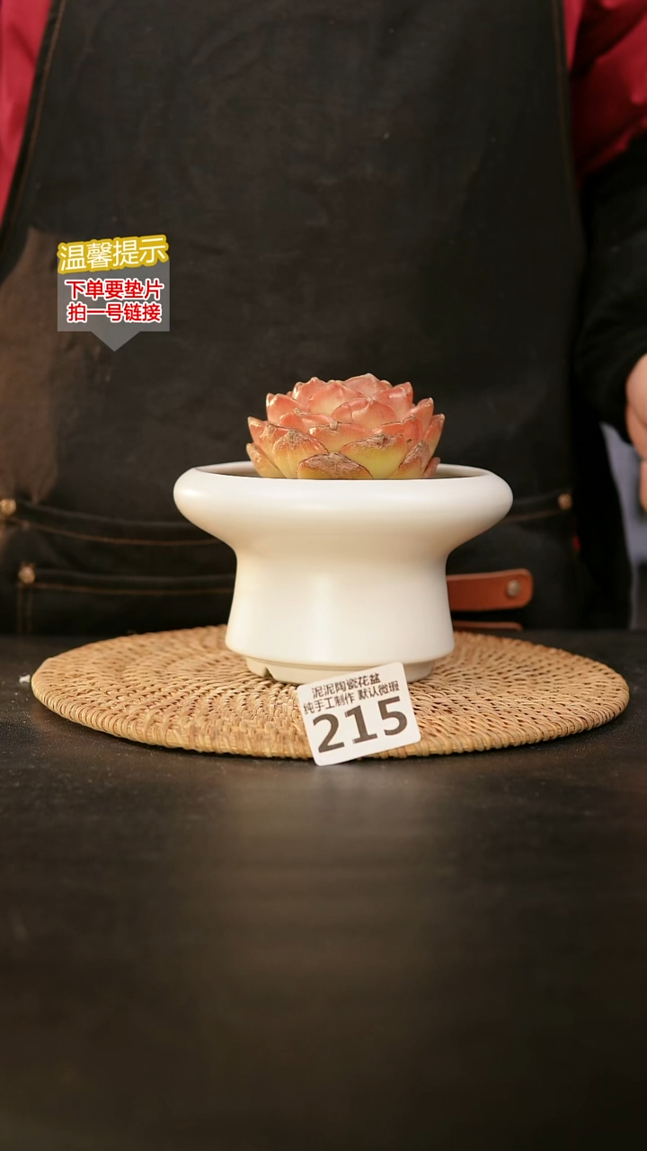 瓷片215内口径约12  外高约8
