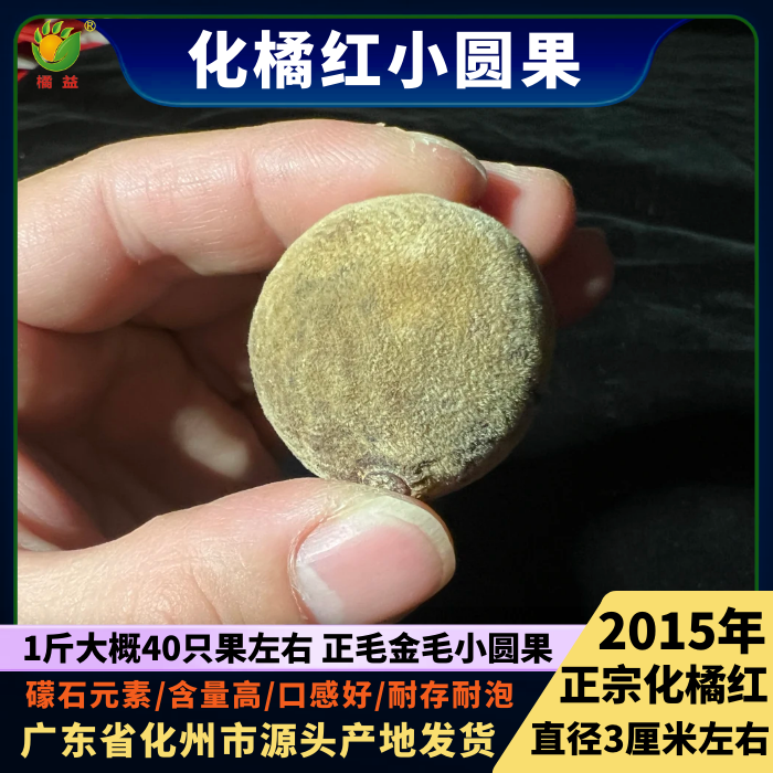 2015年化橘红金毛小圆果直径3厘米正宗化州橘红果250克起产地批发