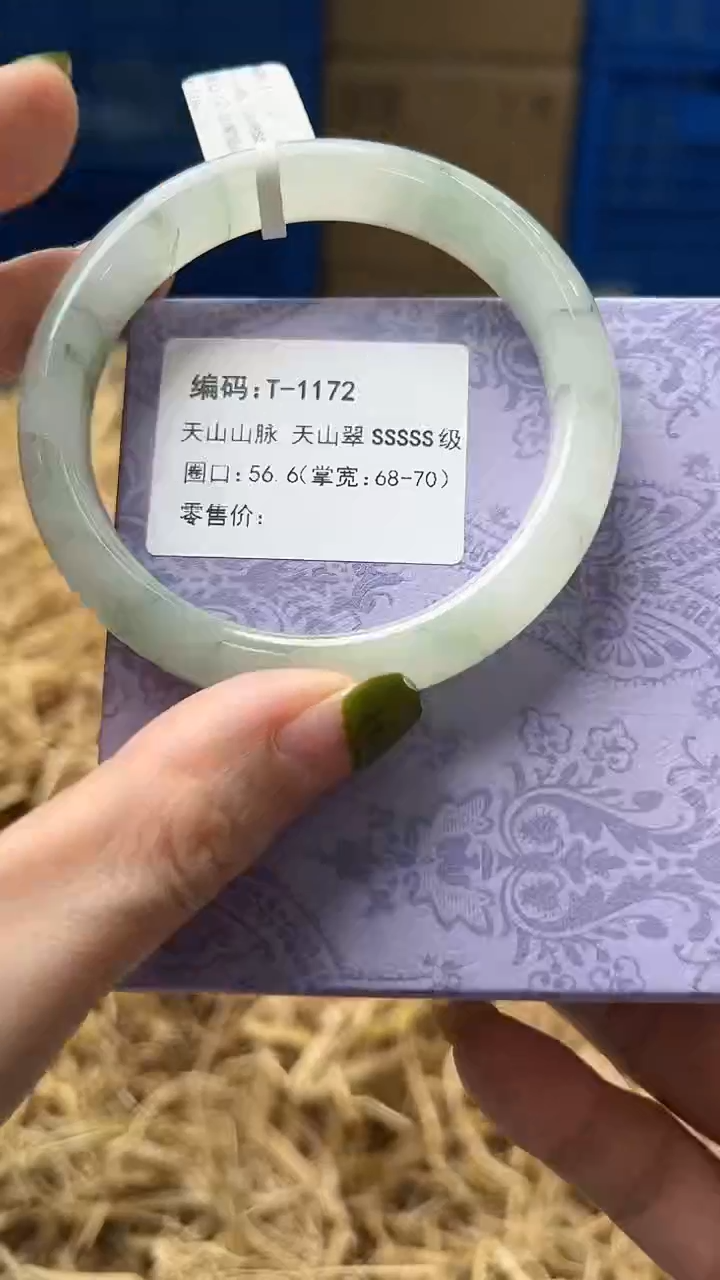 未镶嵌手镯石英质玉T1172