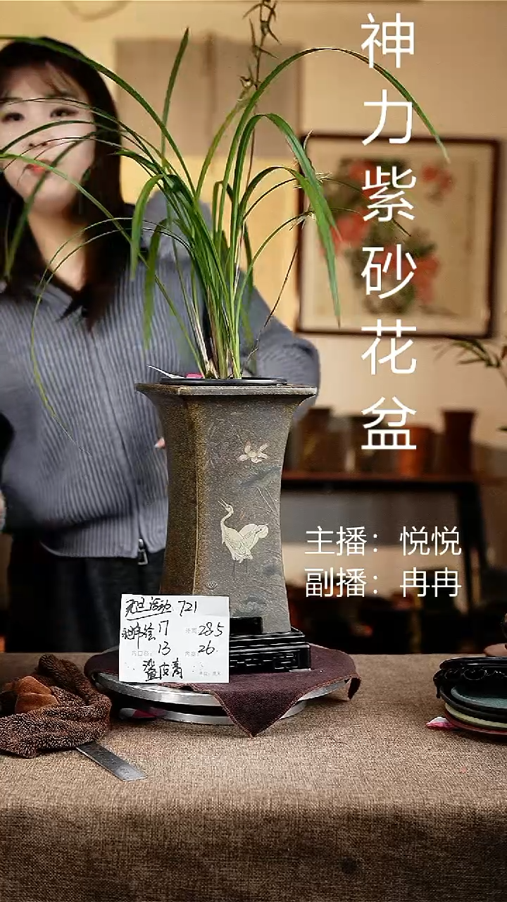紫砂花盆花卉工艺721+s