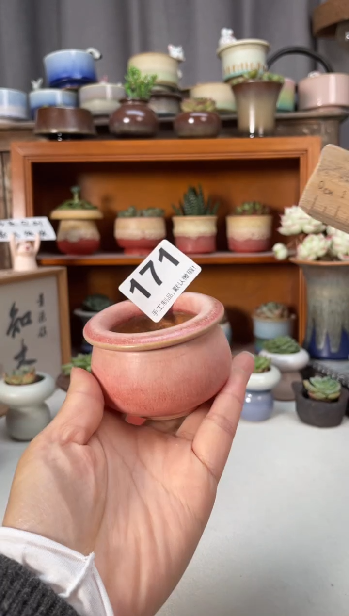 瓷片171小芳直播编号