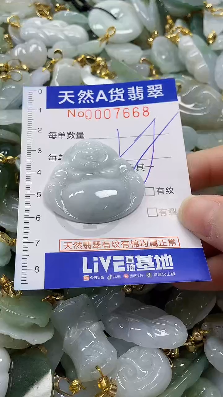 颈饰未镶嵌翡翠纯天然a货翡翠