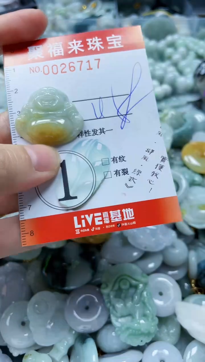 【闪购商品】翡翠颈饰未镶嵌闪购0026717