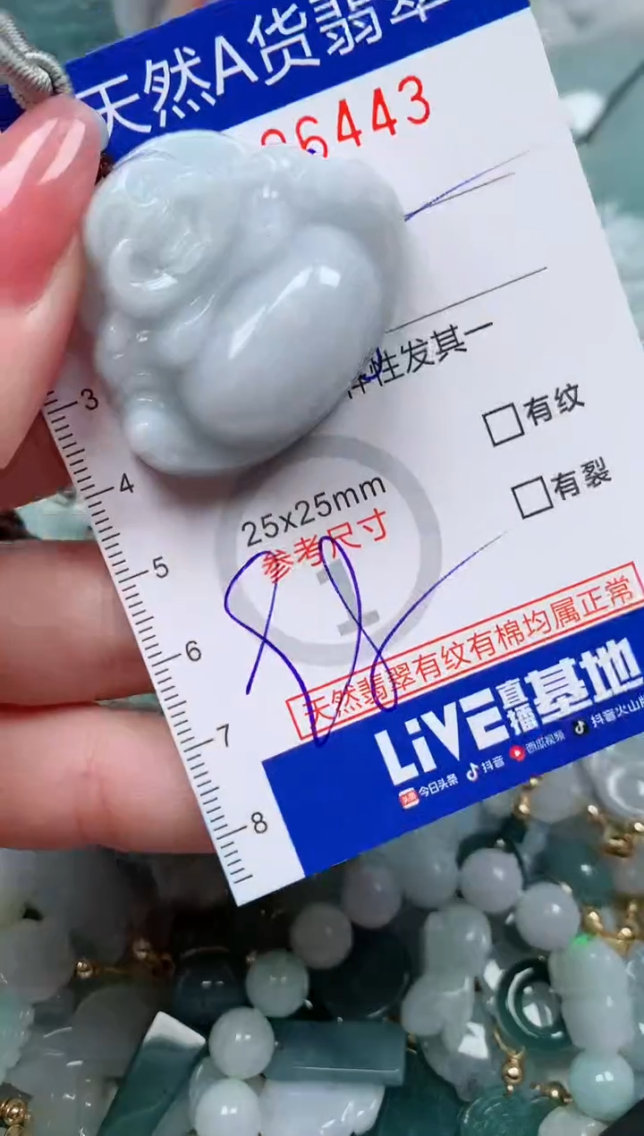 【闪购商品】翡翠颈饰未镶嵌00006443