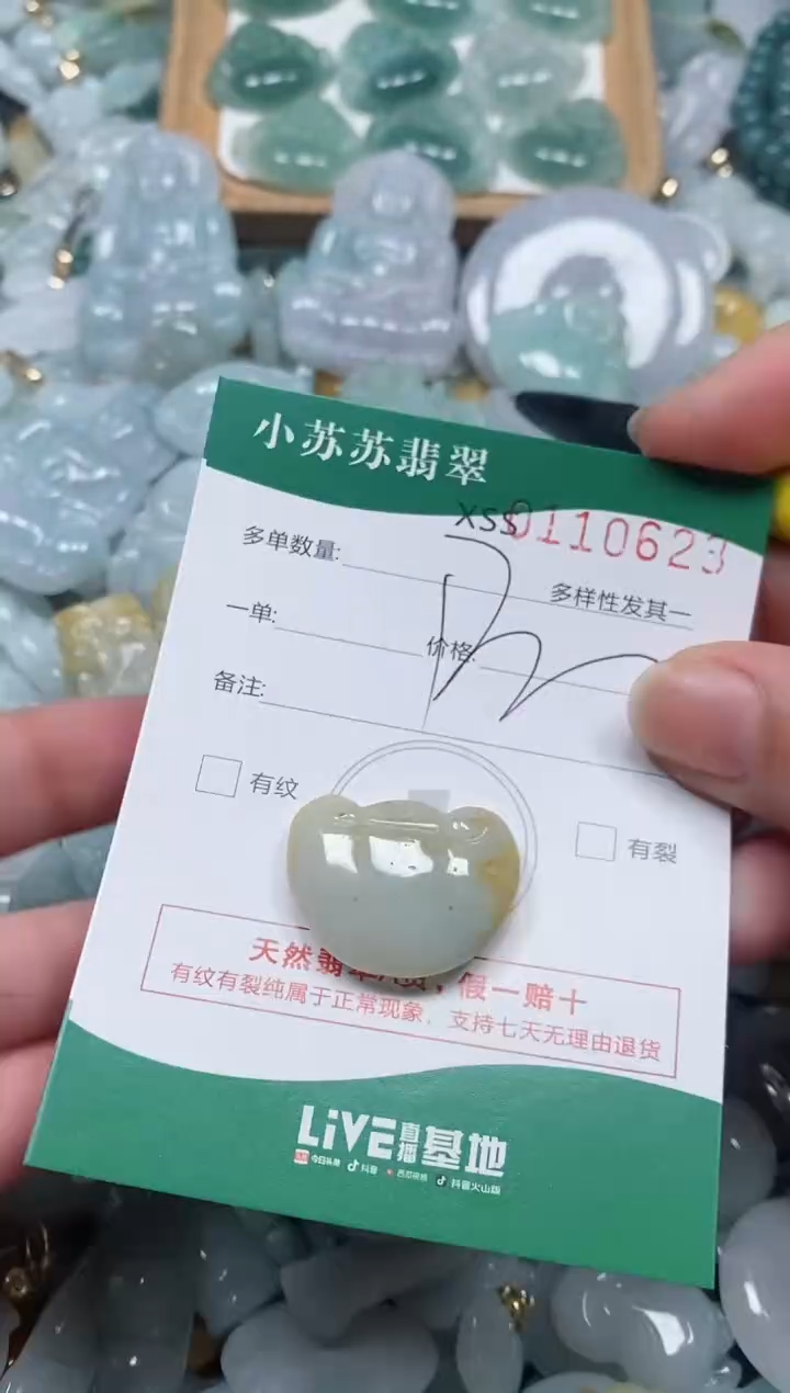 【闪购商品】翡翠颈饰未镶嵌闪购商品0110623