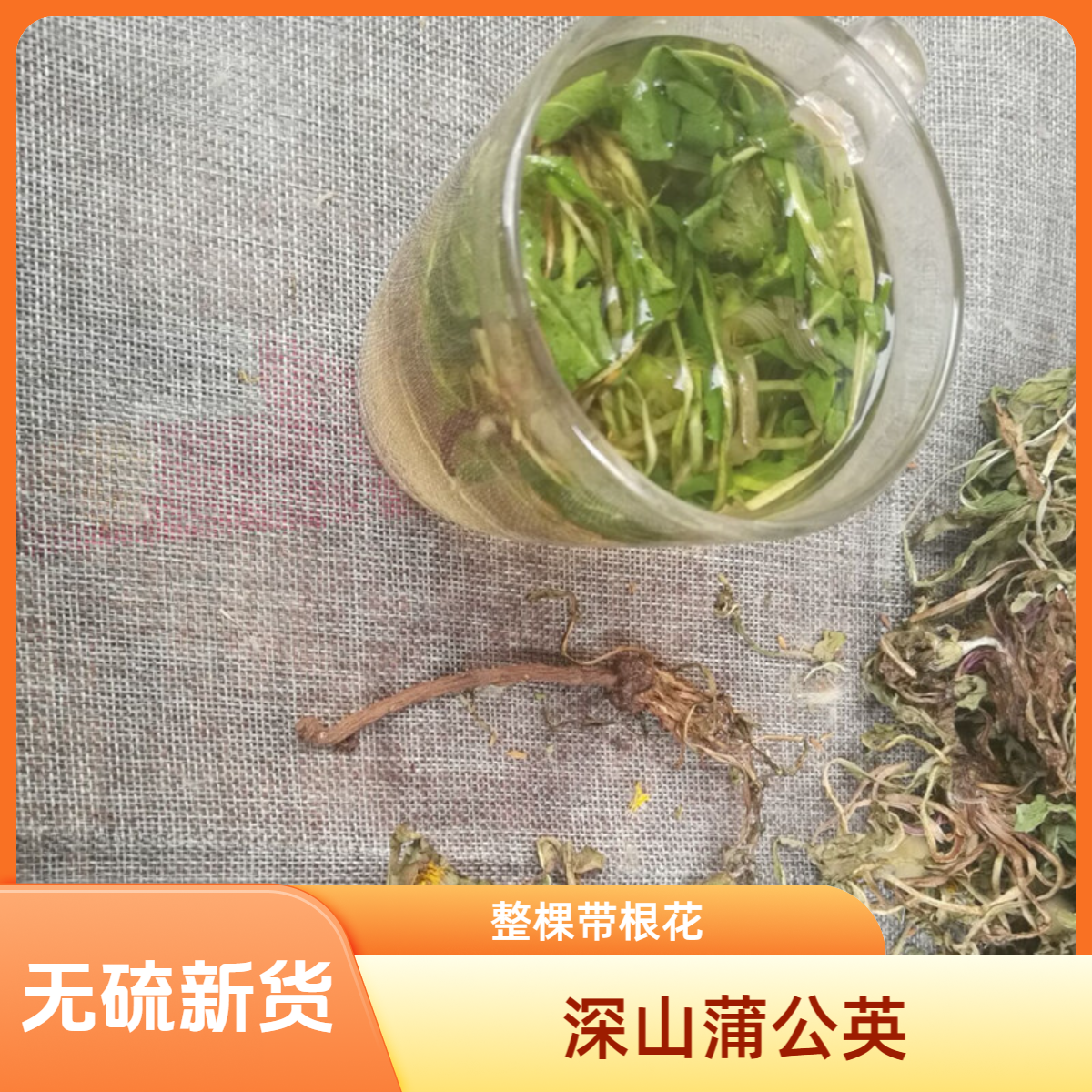 蒲公英中药材500g新鲜干蒲公英根整棵带根花泡水喝野生蒲公英茶