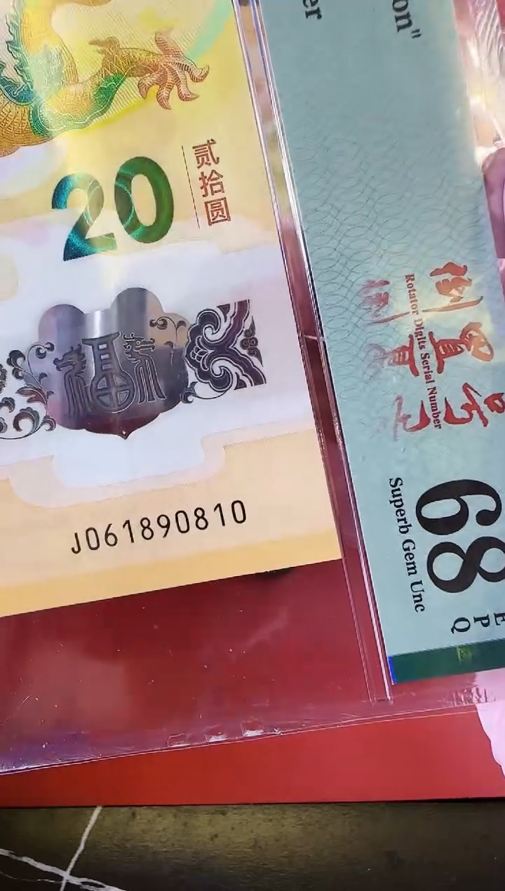 【闪购商品】塑料2024龙061890810