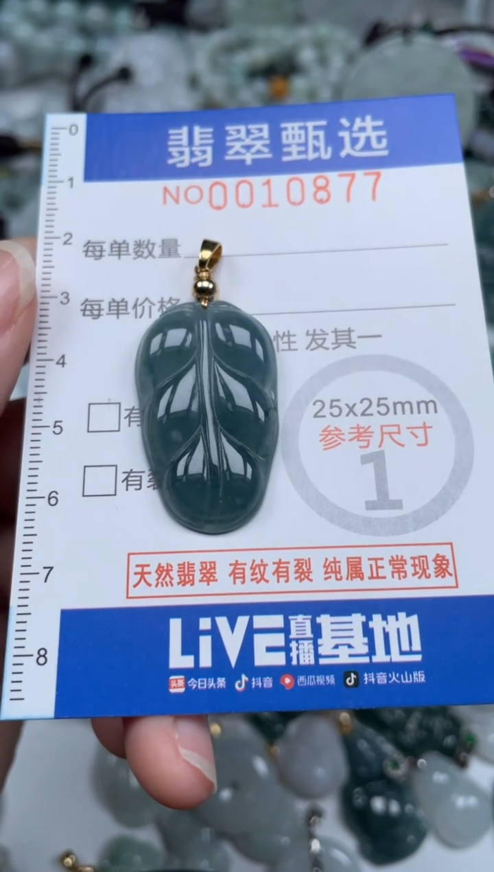 颈饰未镶嵌翡翠10877
