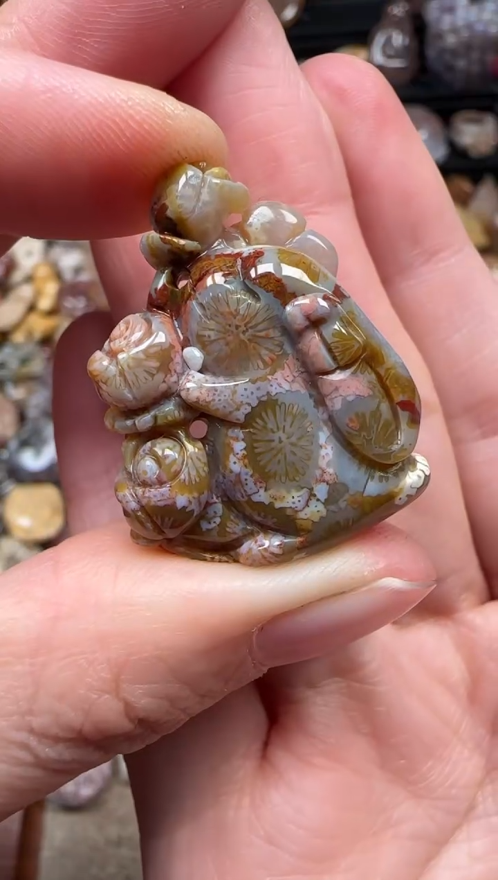 颈饰未镶嵌硅化珊瑚（珊瑚玉）900