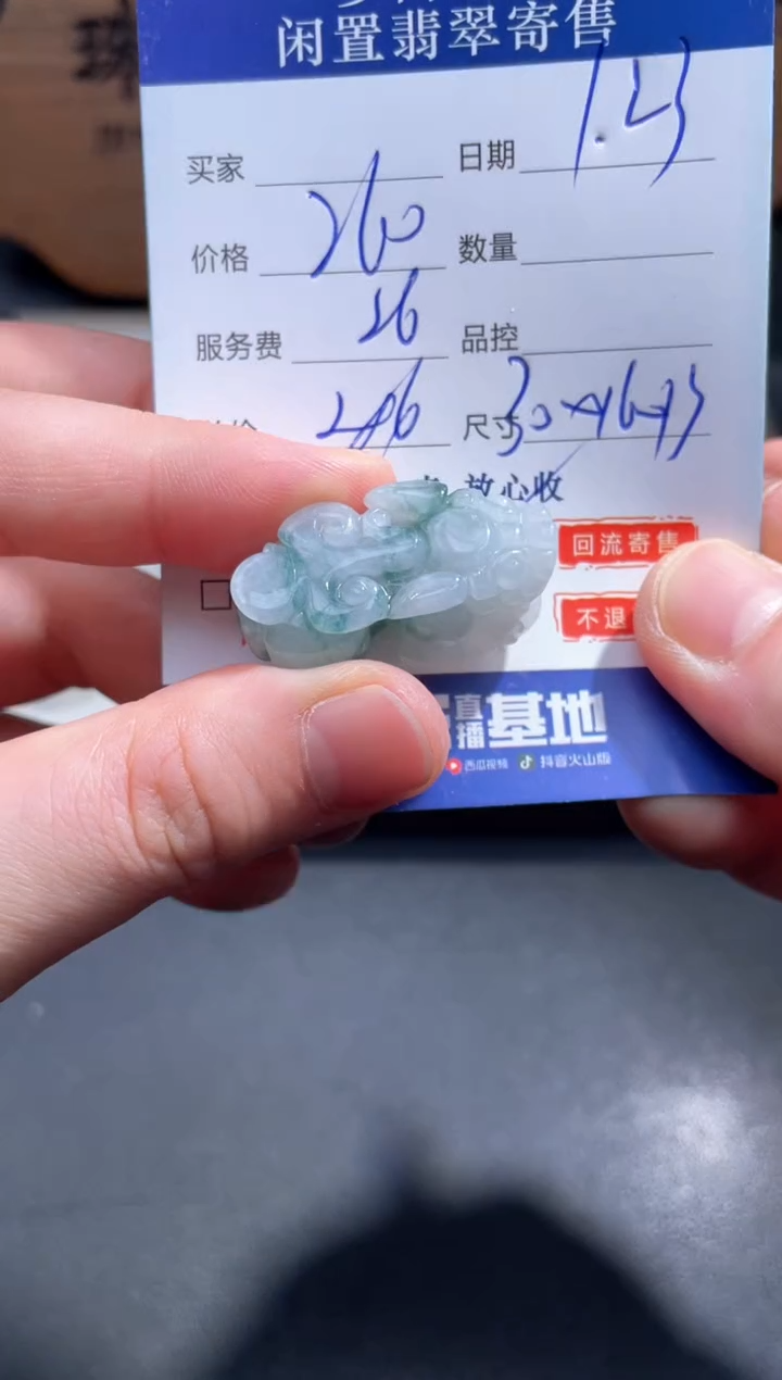 【闪购商品】翡翠颈饰未镶嵌2............