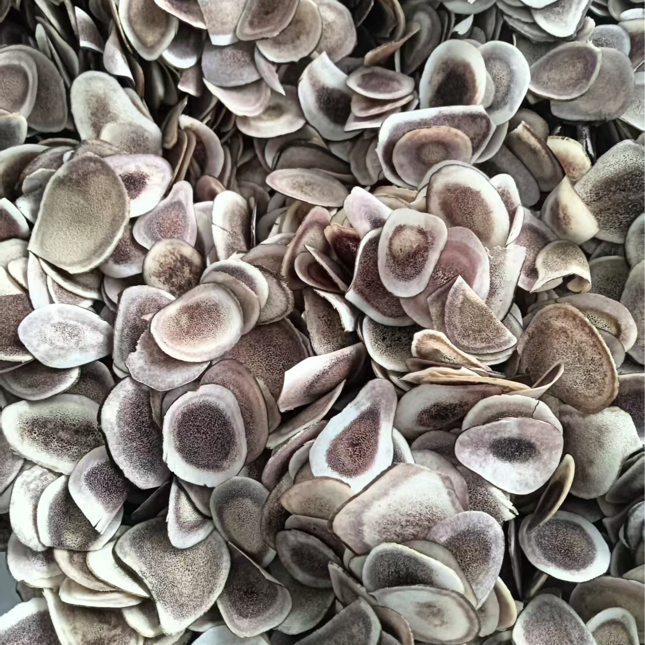 吉林鹿乡鹿角片产地直发实拍照片可用于煮水煲汤泡酒打粉滋补佳品