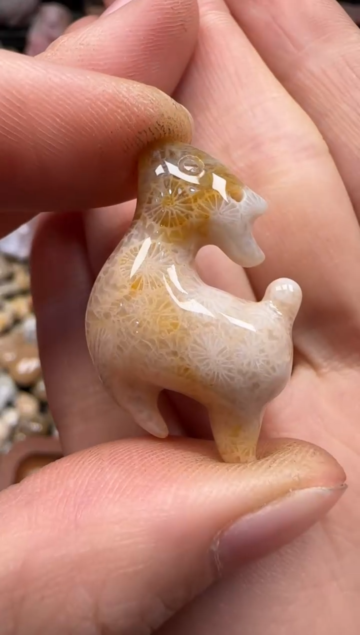 【闪购商品】硅化珊瑚（珊瑚玉）颈饰未镶嵌503