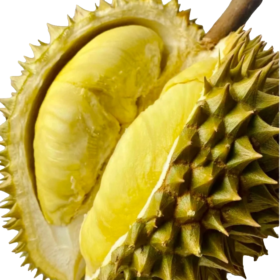 2泰国树熟金枕榴莲树熟鲜榴莲榴莲小时达一物一拍3~8斤核小金枕榴莲同城送金枕泰国