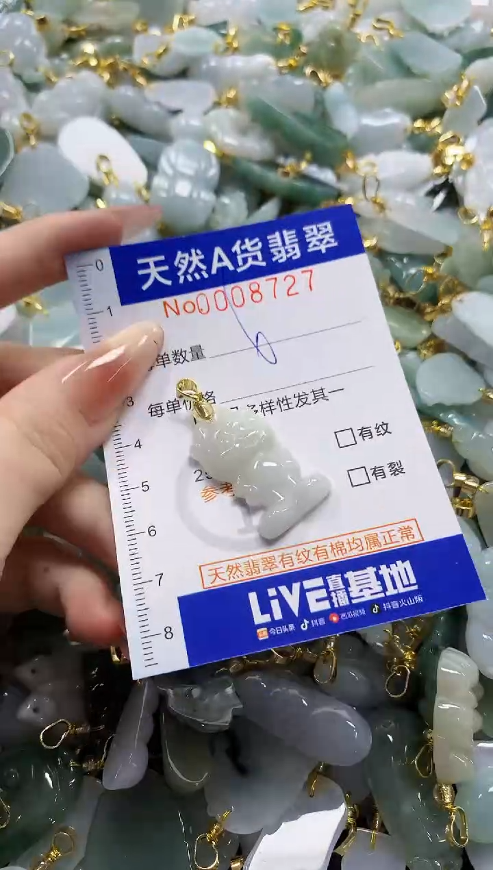 颈饰未镶嵌翡翠天然A货翡翠