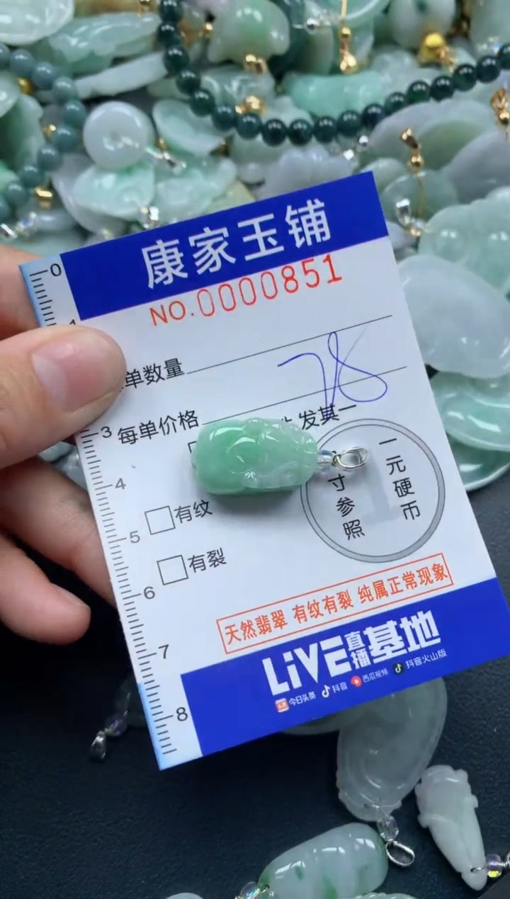 颈饰未镶嵌翡翠851