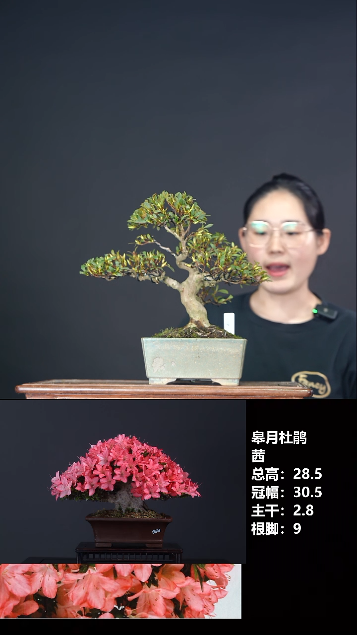 无花朵w**@茜-G6635