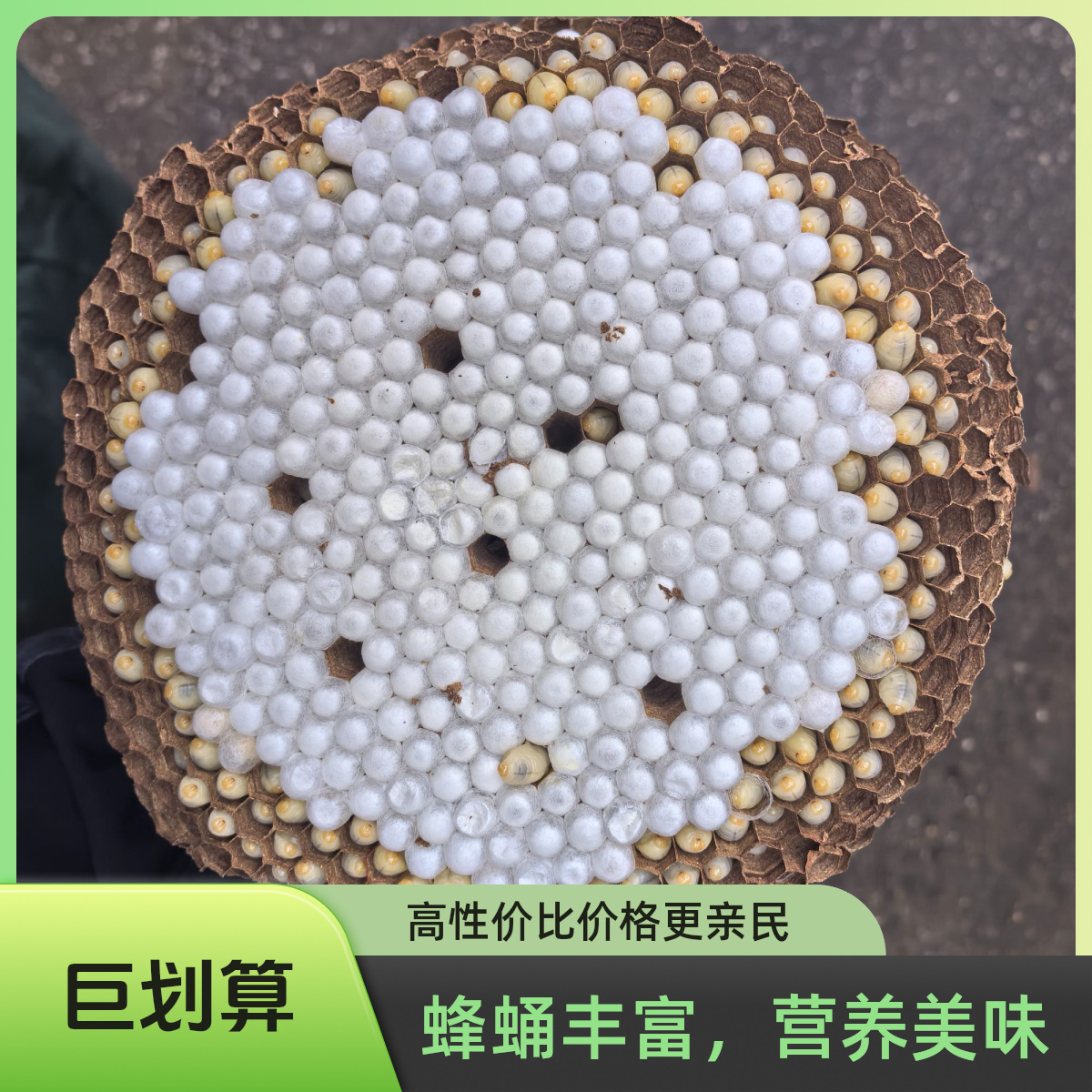 来自云南下饭菜下酒菜新鲜带巢黄脚七里蜂蛹