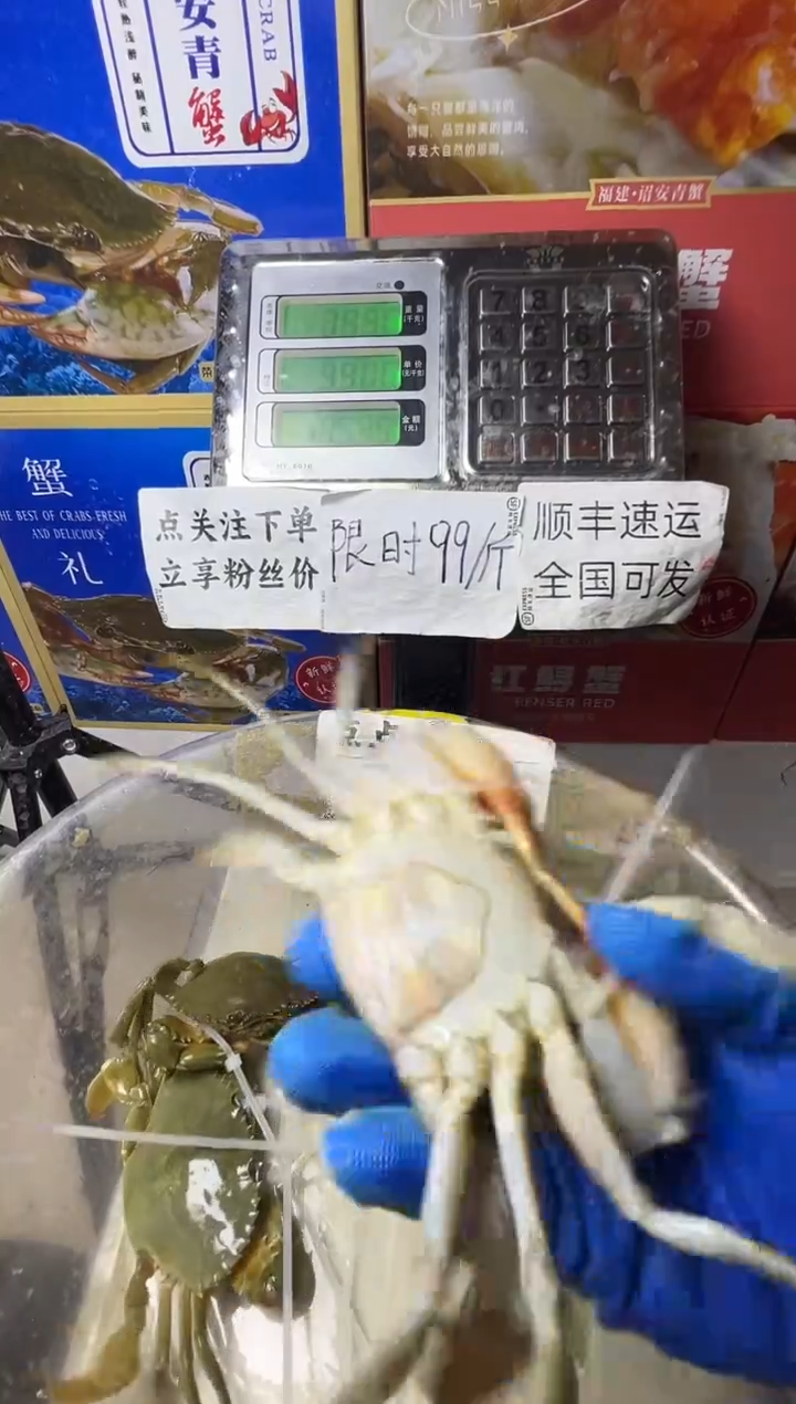 中国大陆福建漳州青蟹