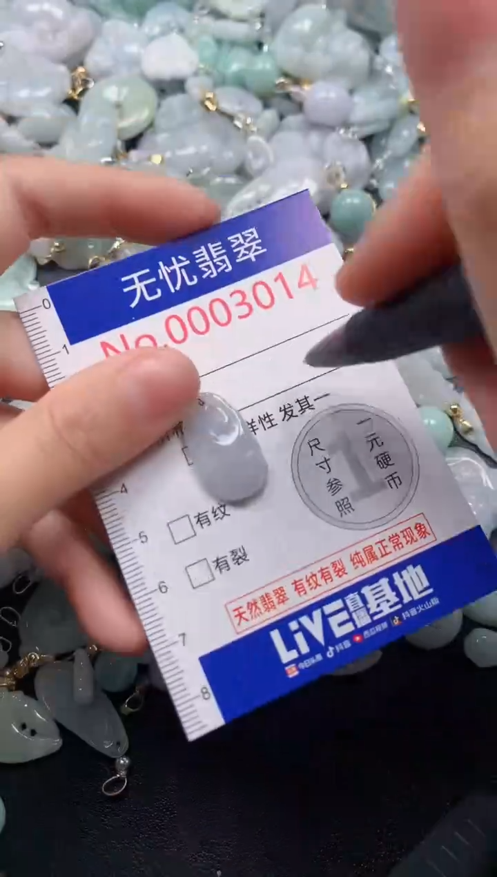 颈饰未镶嵌翡翠3014