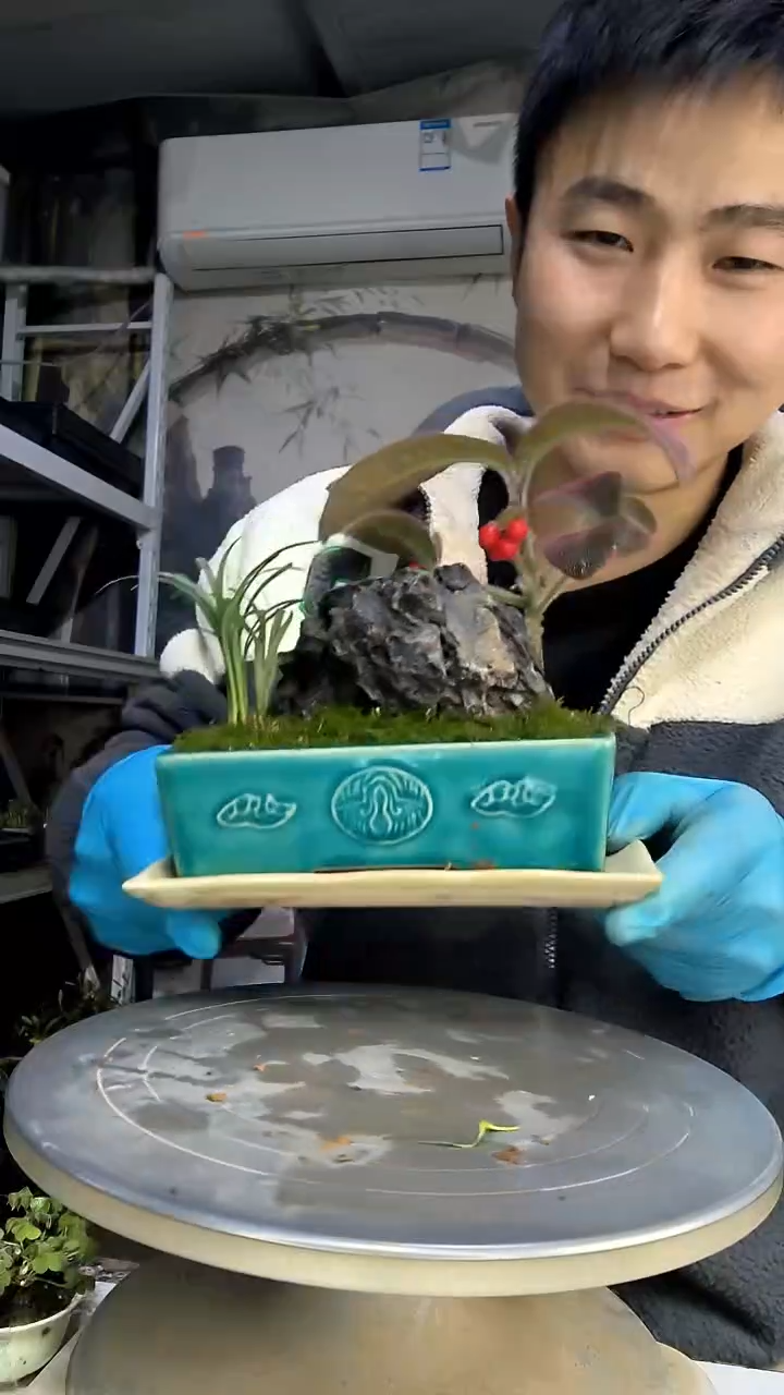 梅*中青园艺一物一拍花274