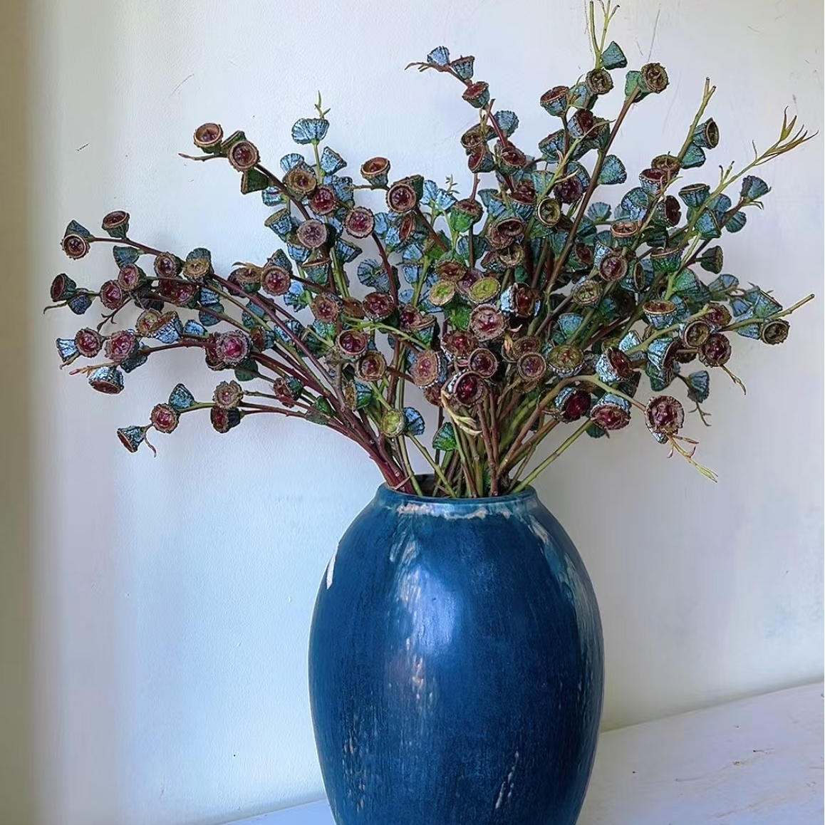 【花拾间】尤加利老果 新鲜采摘做干花摆放好几年