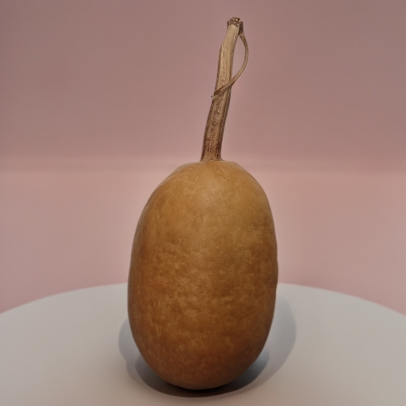 手工制作大葫芦工艺品创意摆件