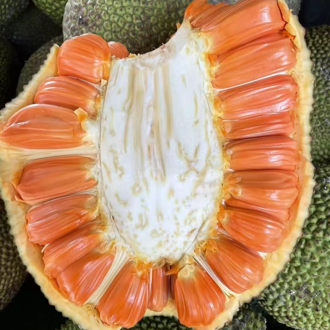 【特级】印尼红肉菠萝蜜脆甜可口香味浓郁新鲜热带水果红肉菠萝蜜越南社会主义共和国