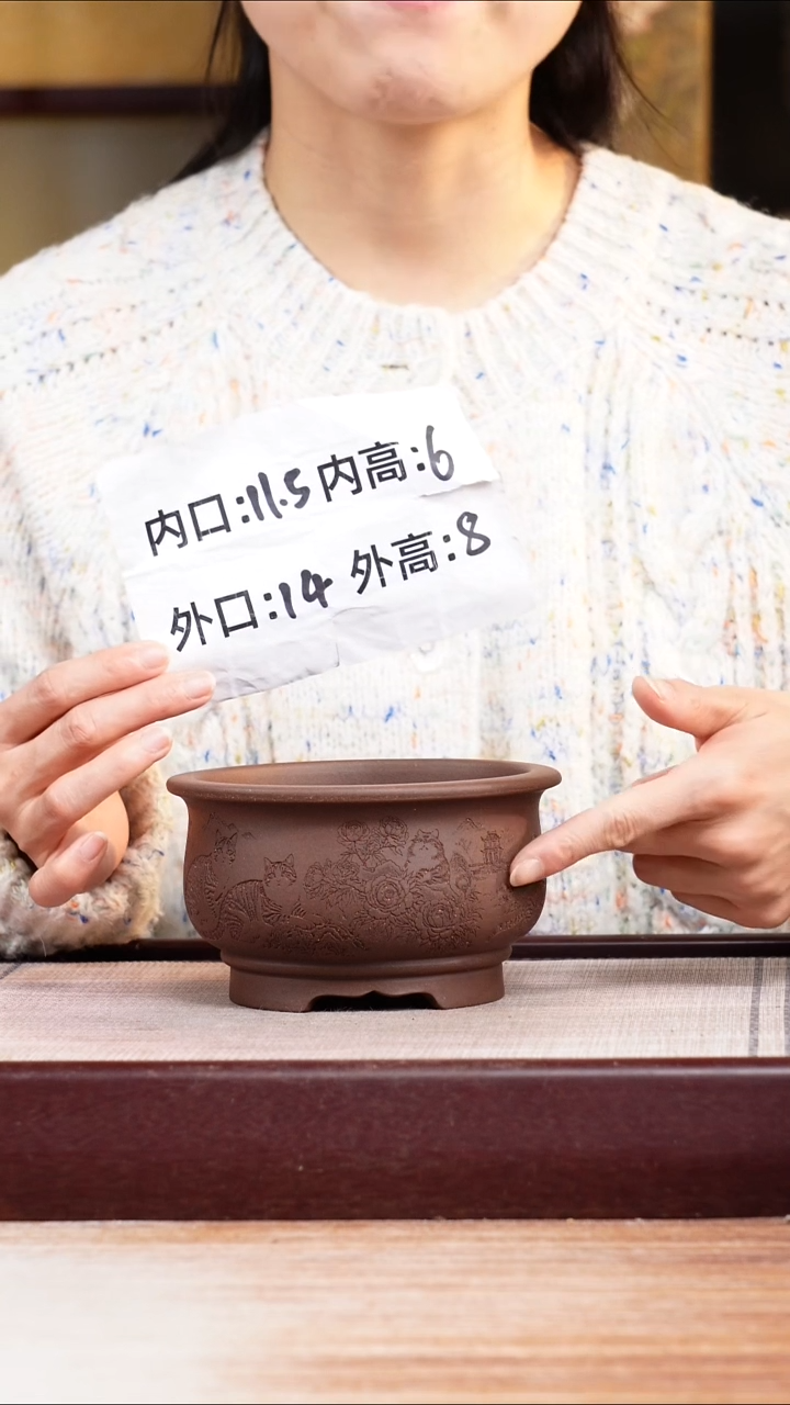 紫砂花盆紫泥刻绘猫咪迷你矮圆盆一只无托