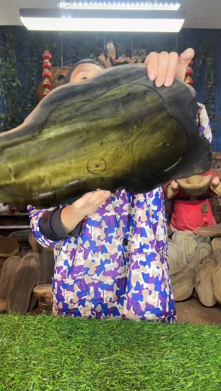 金丝楠小叶桢楠60