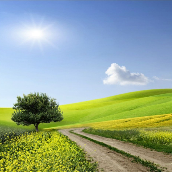 娟  新中式国风 桑蚕丝 落肩 棉服 52 M