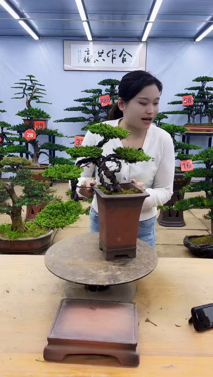 一物一拍，所见即所得