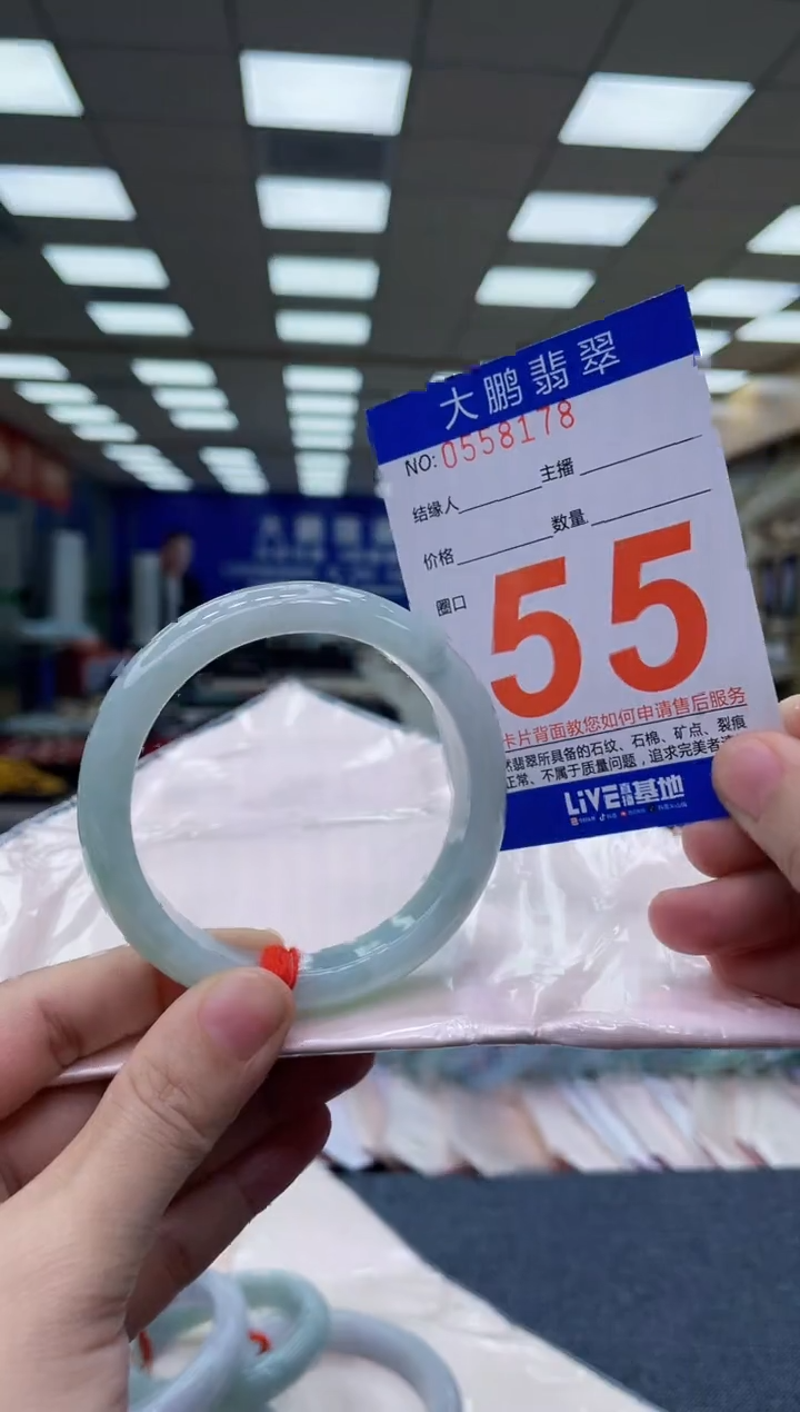 未镶嵌手镯翡翠AAAAAAAA